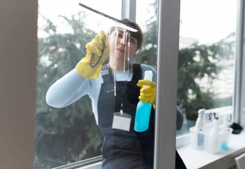 Nettoyage de vitres intérieures et extérieures à Mesnil-Saint-Laurent